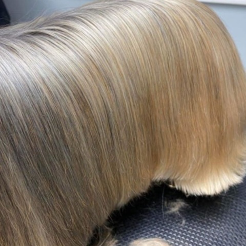 AUNA SPRAY nawilżająci-wygładzający 300 ml